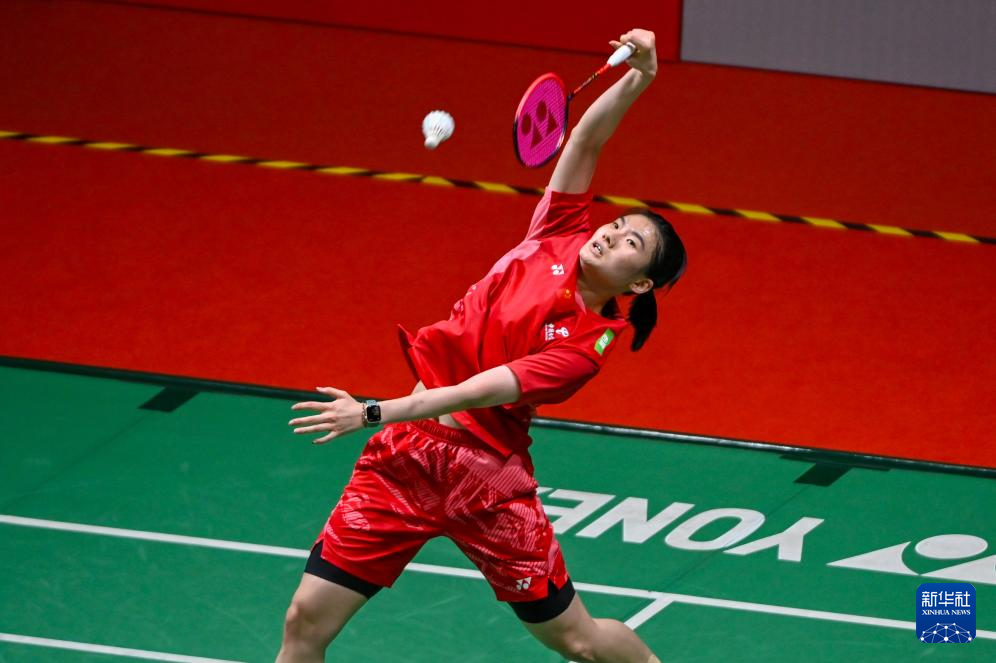 提供了机会 提供了机会